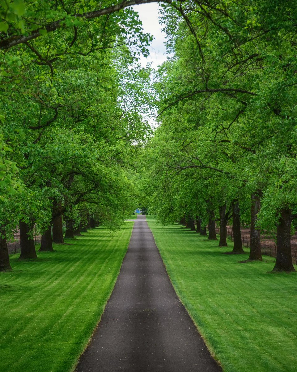 worldclick56's tweet photo. Let’s go for a walk… https://t.co/Mmtf9n45Rk
