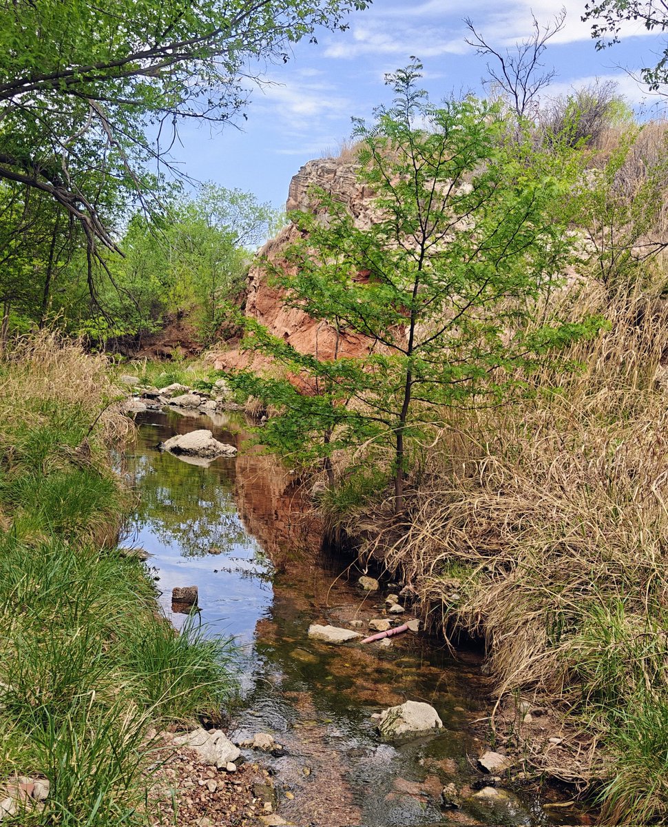 Ogallala Life💧🌱🦫🦬 tweet media