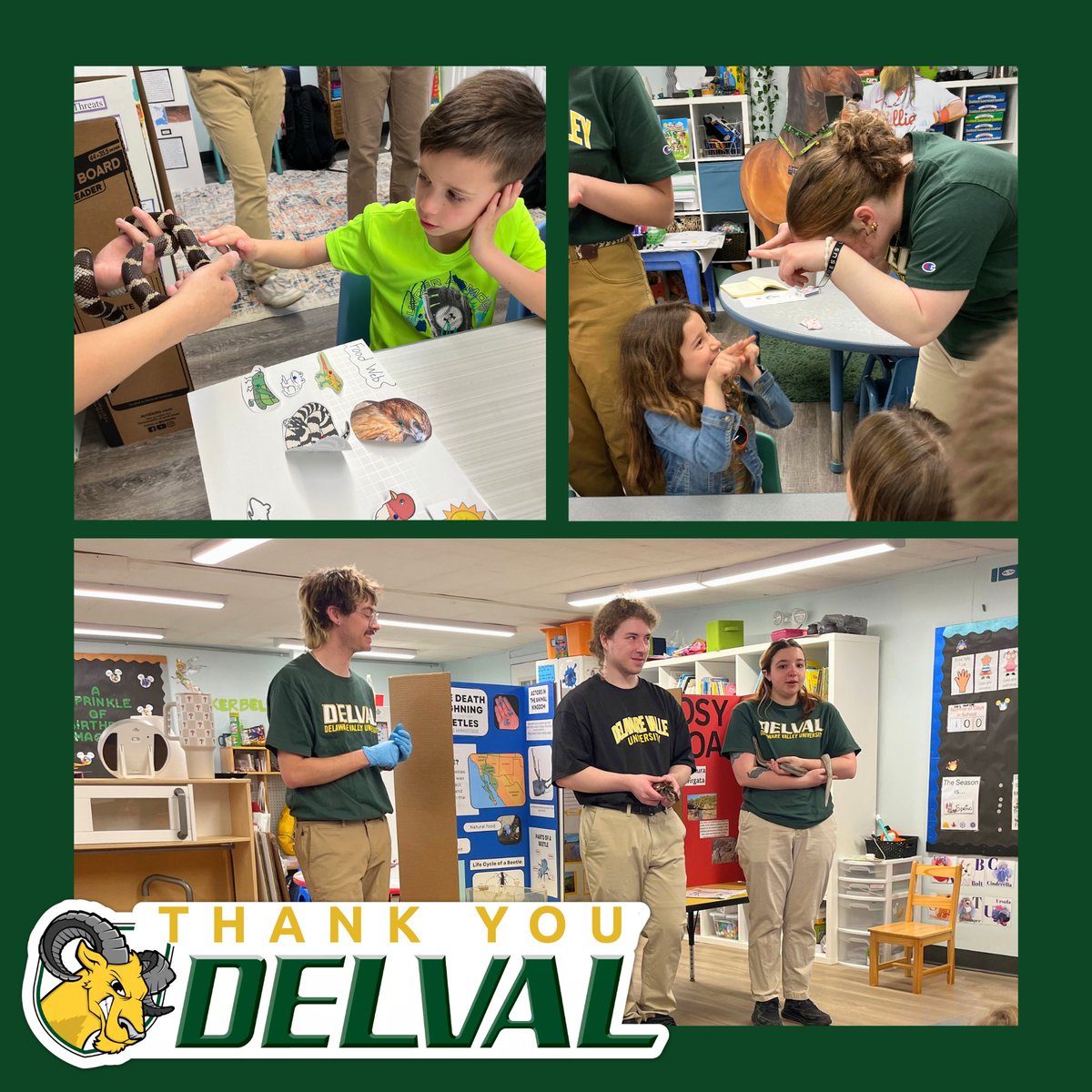 Camp Curiosity & Curiosity Academy tweet media