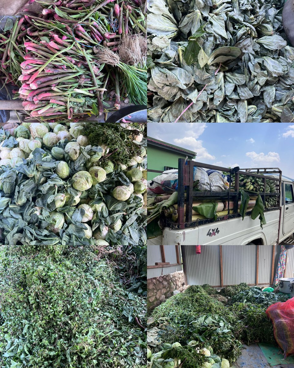 SpeakNaga_X tweet media