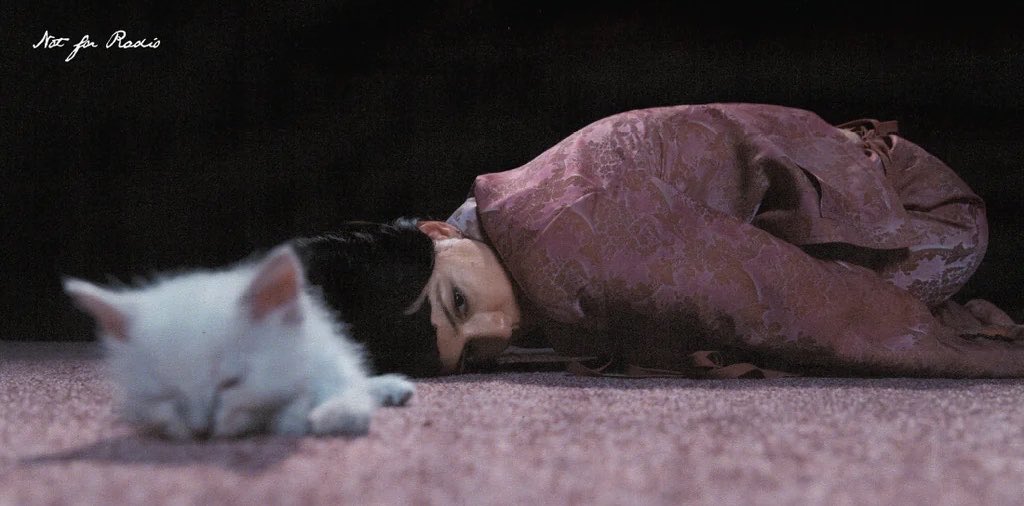 The Marías Updates tweet media