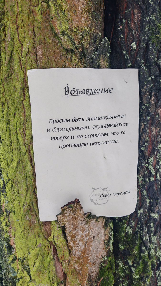 Мормявишна🪶 tweet media