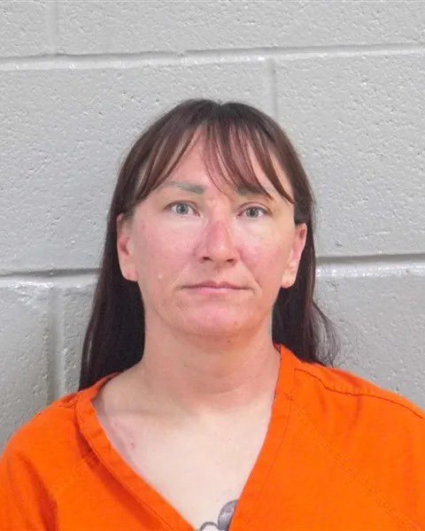 Sarah Fields tweet media