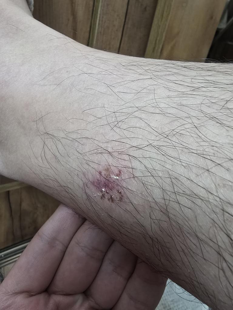 ایزد طلایی tweet media