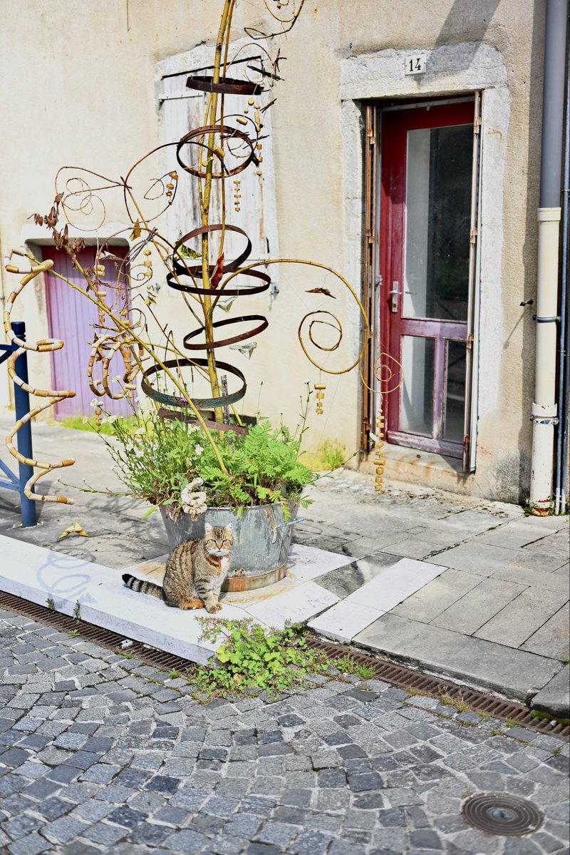 jeremymorey21's tweet image. Petit #balade à #LonsleSaunier (2/4), le #chat d'abord peureux qui finalement pose pour la photo, une #fresque, le #PuitsSalé et l' #HôtelDieu.