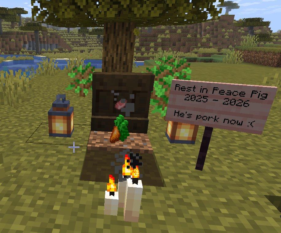 emily 🗝 tweet media