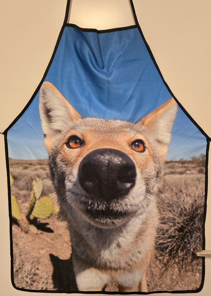 Gin Tonic 🔜 EF tweet media