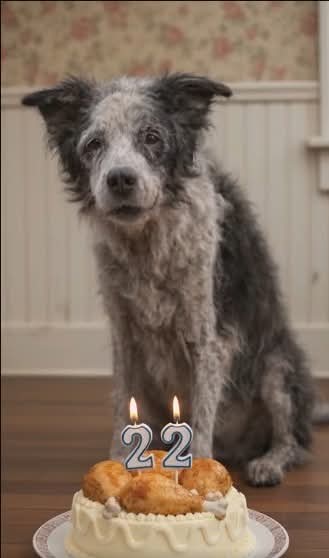 Jessica ❤️ tweet media