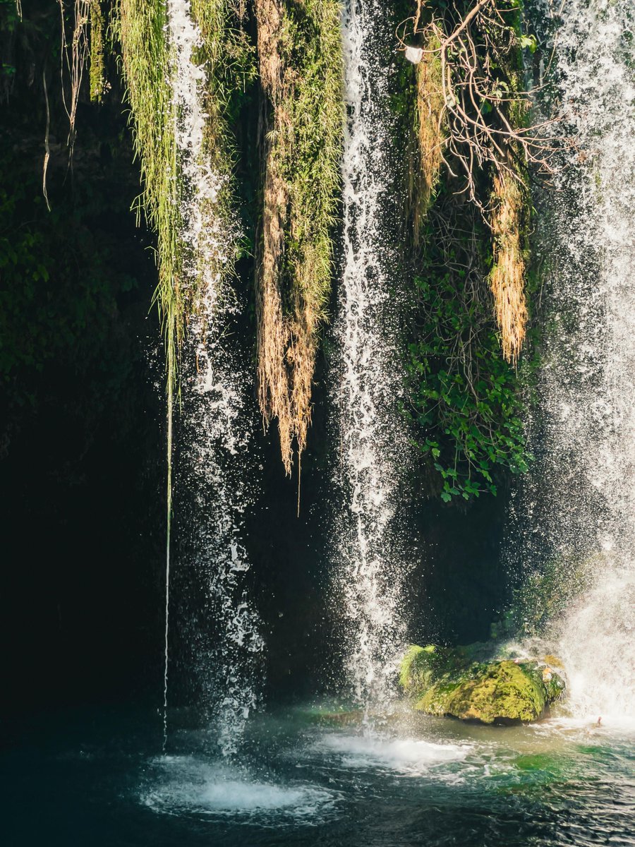 KongYing tweet media