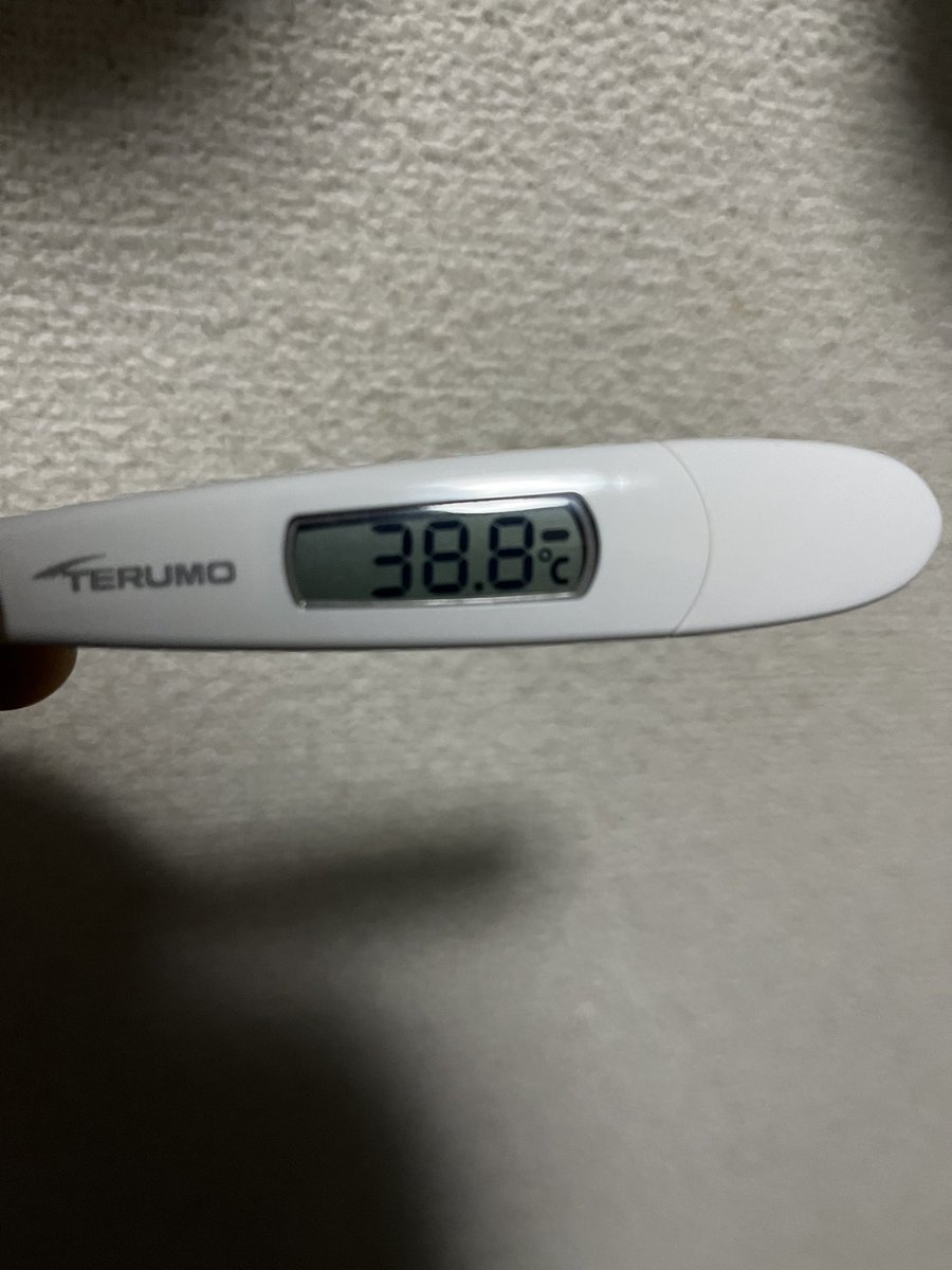 エルモです🇫🇷⚓️🏧🐺 tweet media