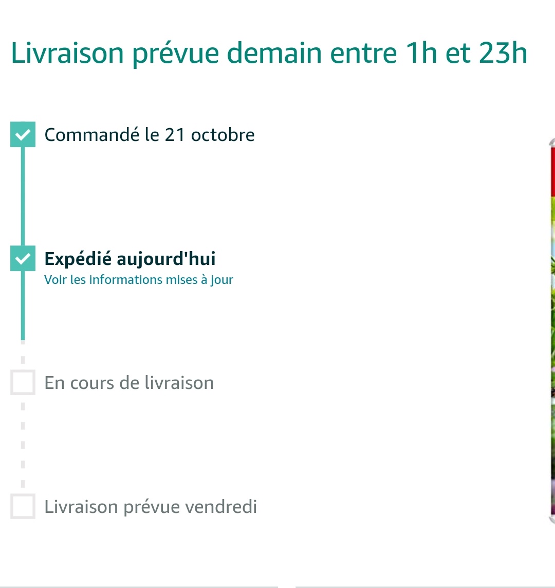 Benra_'s tweet photo. J'avais eu la même chose pour Pikmin 4 https://t.co/SnV6KiQpEs