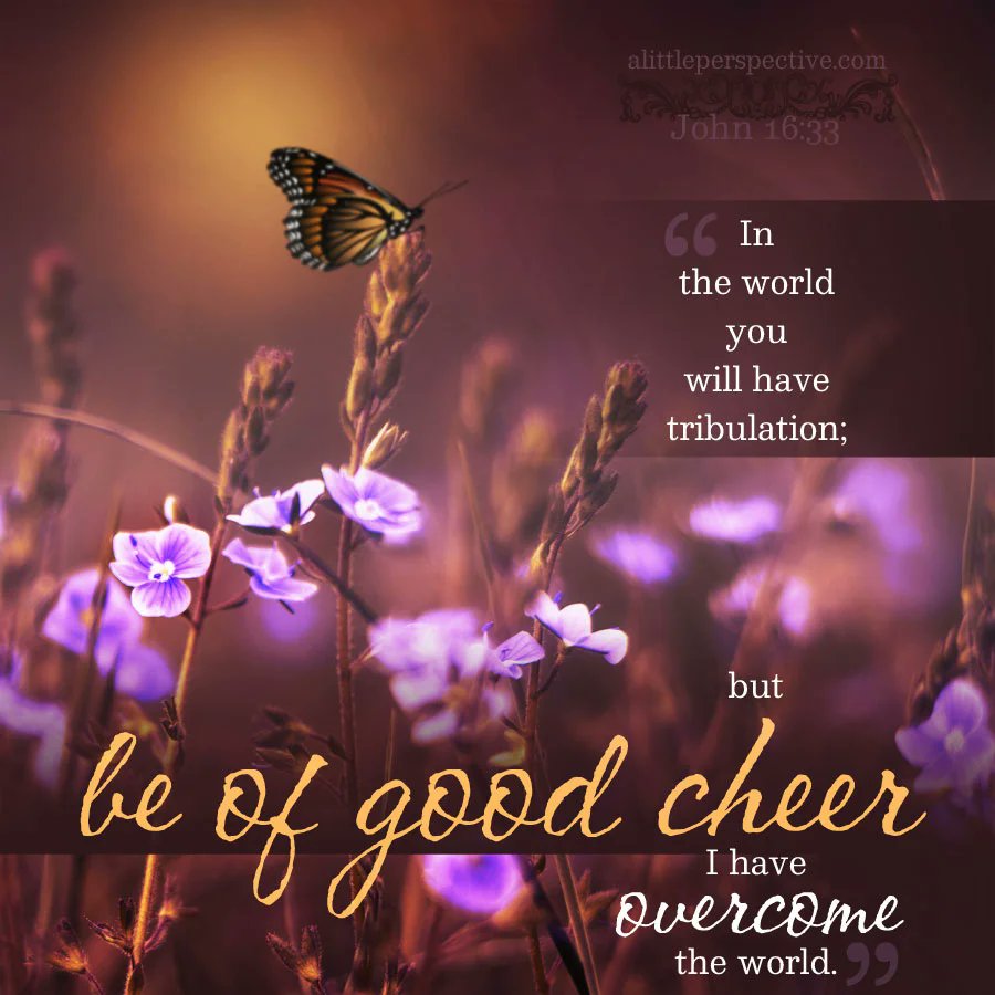 DentonKollar's tweet image. “These things I have spoken to you, that in Me you may have peace. In the world you will have tribulation; but be of good cheer, I have overcome the world.”

- John 16:33 (NKJV)

#Jesus #Christ #OurPeace