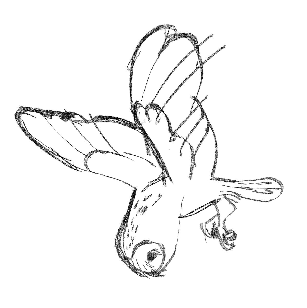 kewa 🦦 tweet media