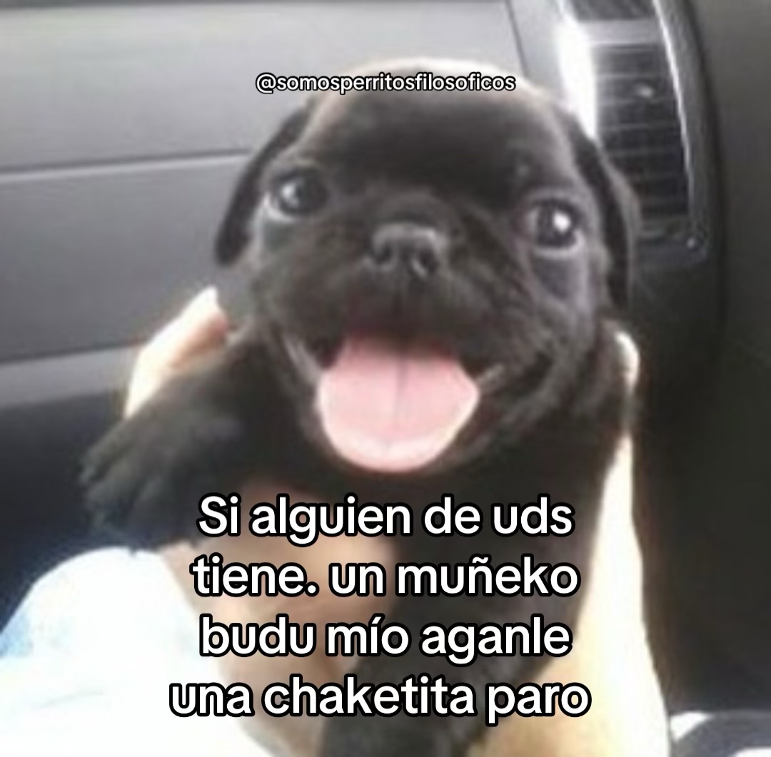 Gael Mega Ender tweet media