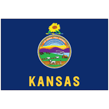 BeckyMa45093796's tweet photo. Starting to see "NOT my President" signs and flags!
I live in rural KANSAS community!
#bluedot https://t.co/o8BgkyGPLN