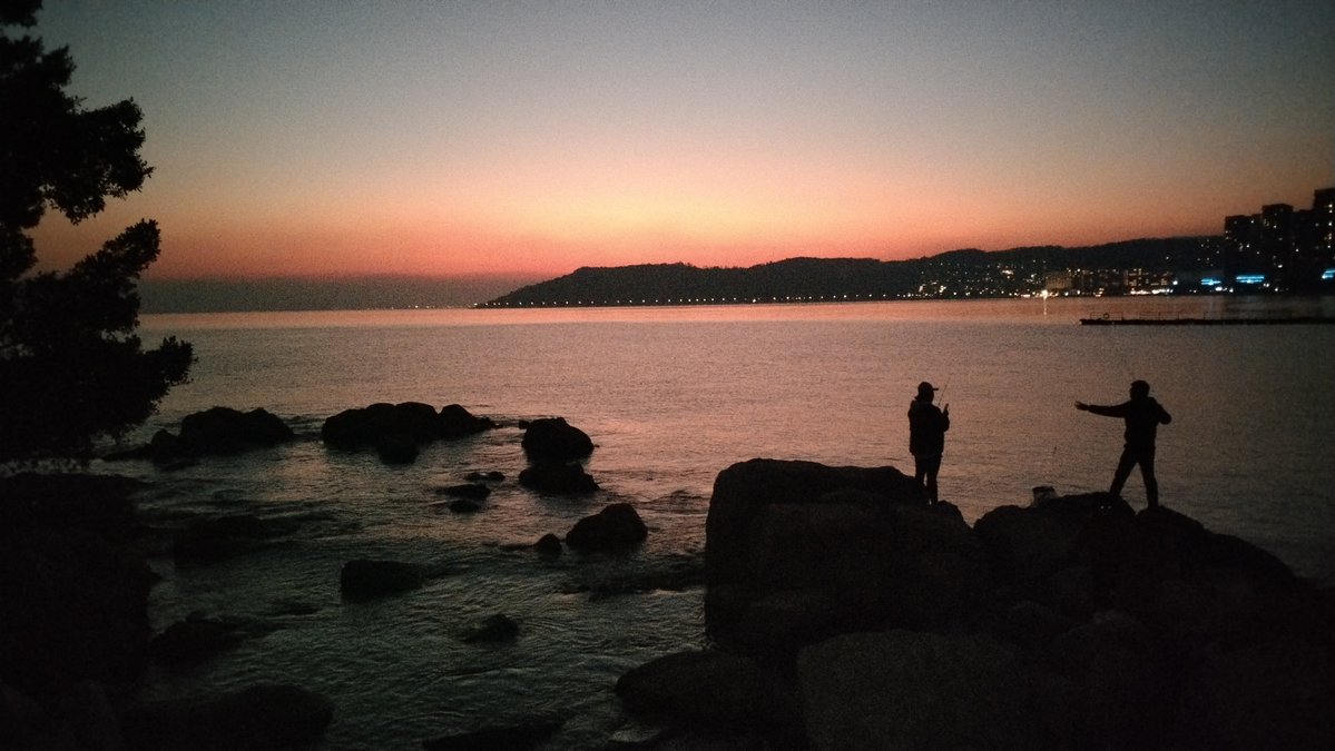 rozalia robert tweet media