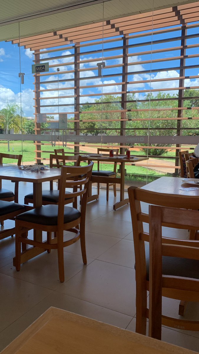 web divo abel studies tweet media