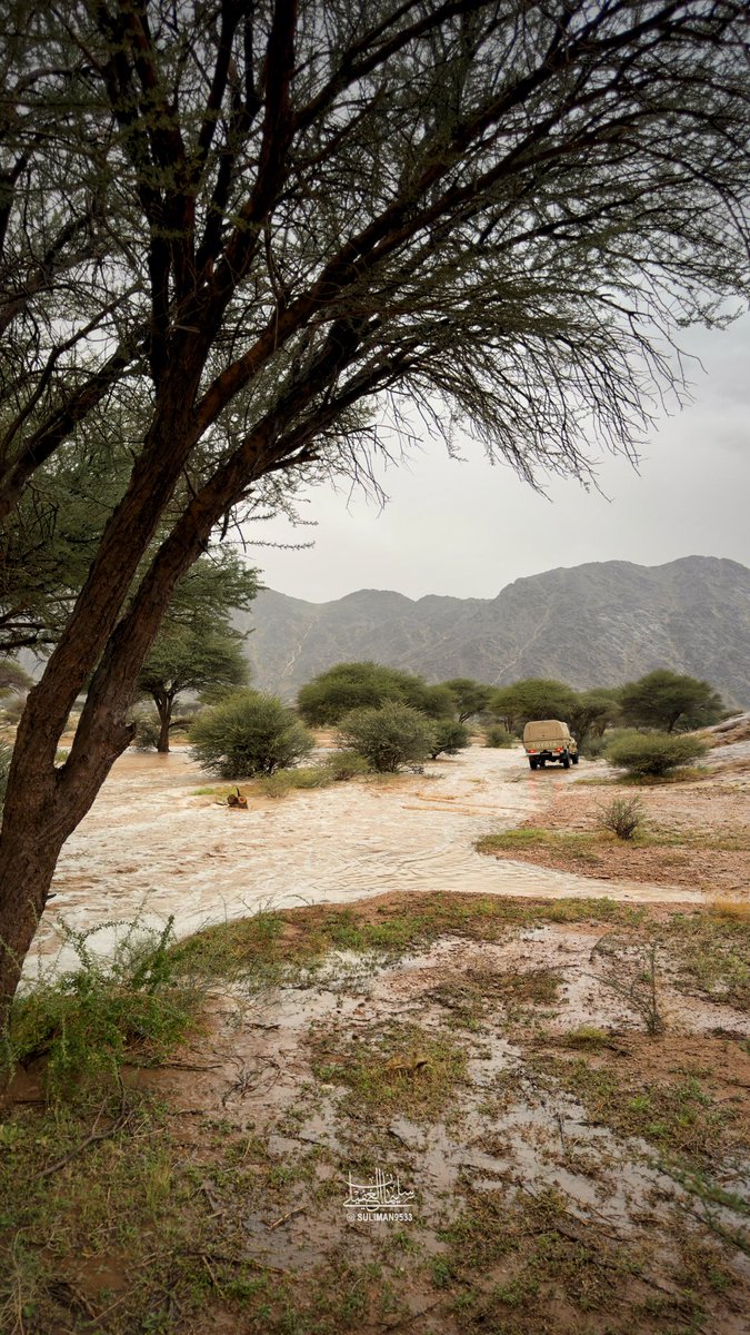 Suliman9533's tweet photo. من خيرات اللتي هطلت ولله الحمد 
على #سواج جنوب غرب #الرس ☔️🏔️ 
مساء اليوم - 26 شوال 1447هـ https://t.co/2A07AlUF12