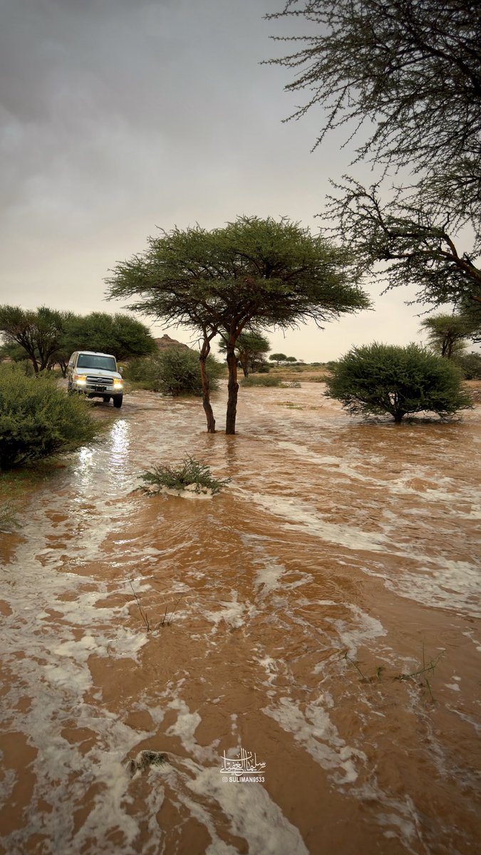 Suliman9533's tweet photo. من خيرات اللتي هطلت ولله الحمد 
على #سواج جنوب غرب #الرس ☔️🏔️ 
مساء اليوم - 26 شوال 1447هـ https://t.co/2A07AlUF12