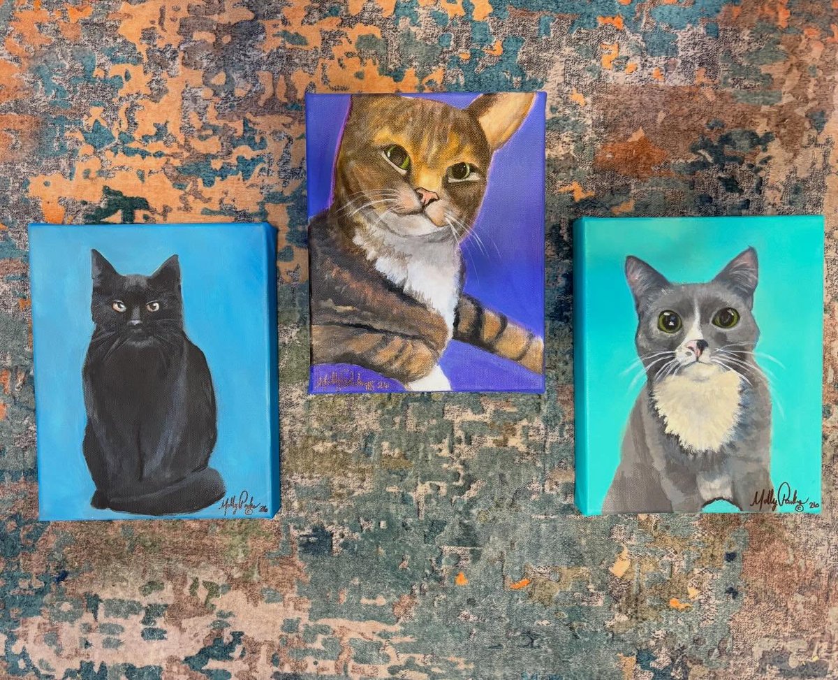 steedattitude's tweet photo. A local friend of mine painted my kitties including my Taco Cat (tabby) that passed a few years ago. I love them so much. I can't wait to get some tacks to hang them up. #CatsOnTwitter #BlackCats #TabbyCats #TuxedoCats #SupportSmallArtists https://t.co/ryIjFnbSao