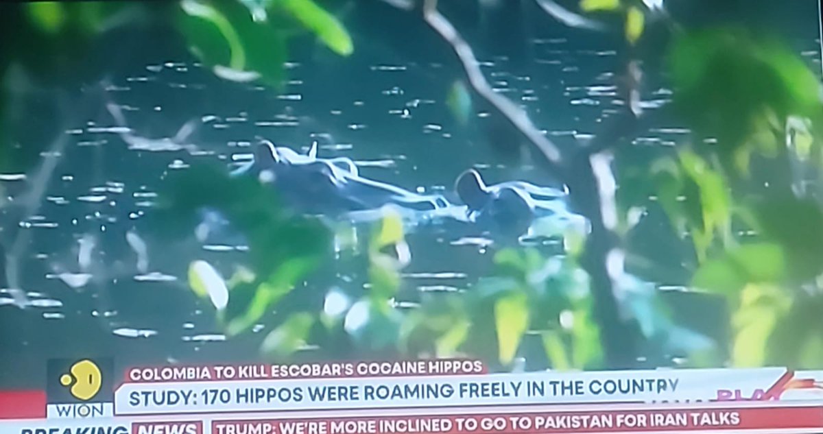 🌵The Cactus🌵🇮🇳 tweet media