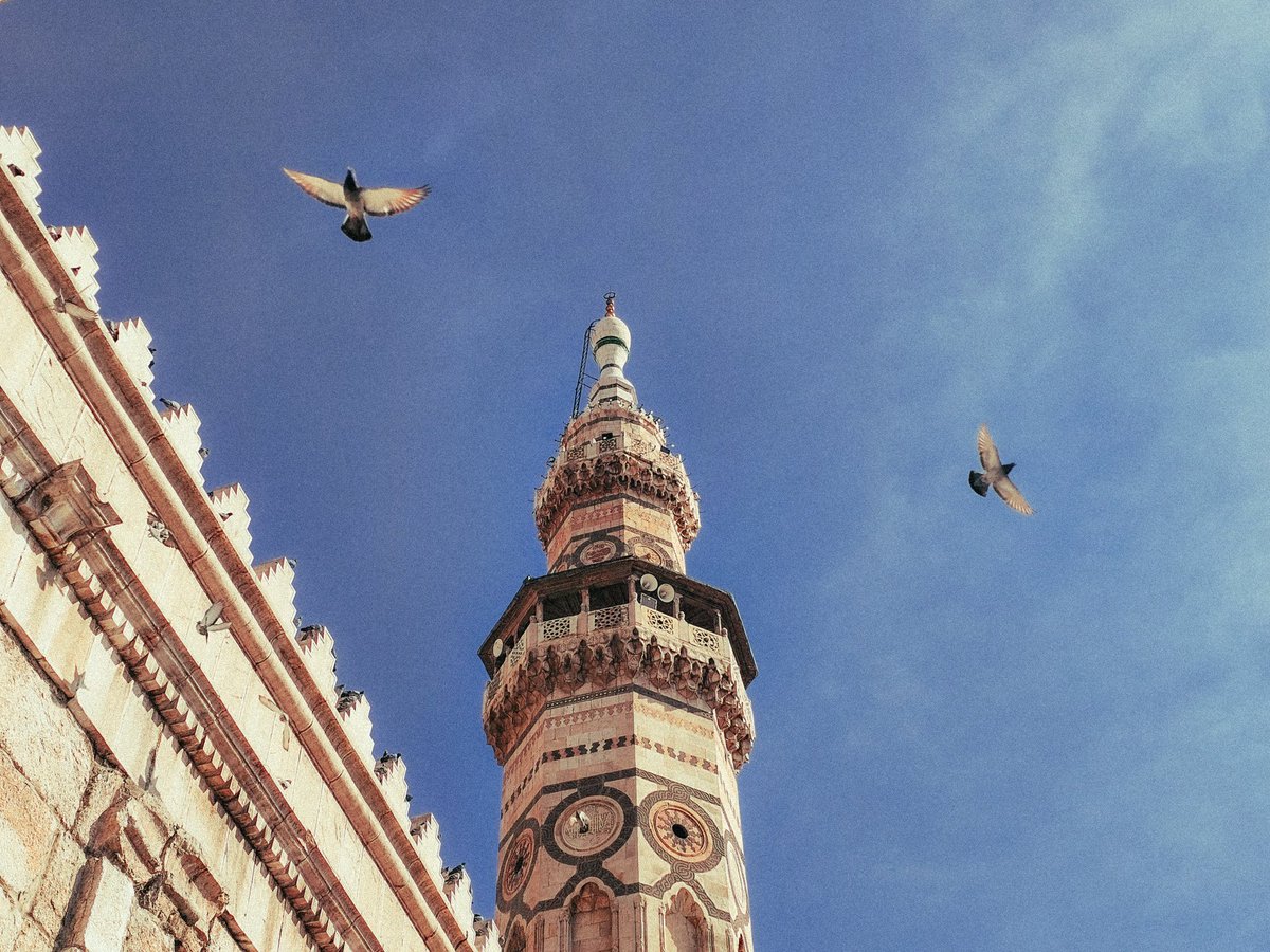 Potato | محمد tweet media