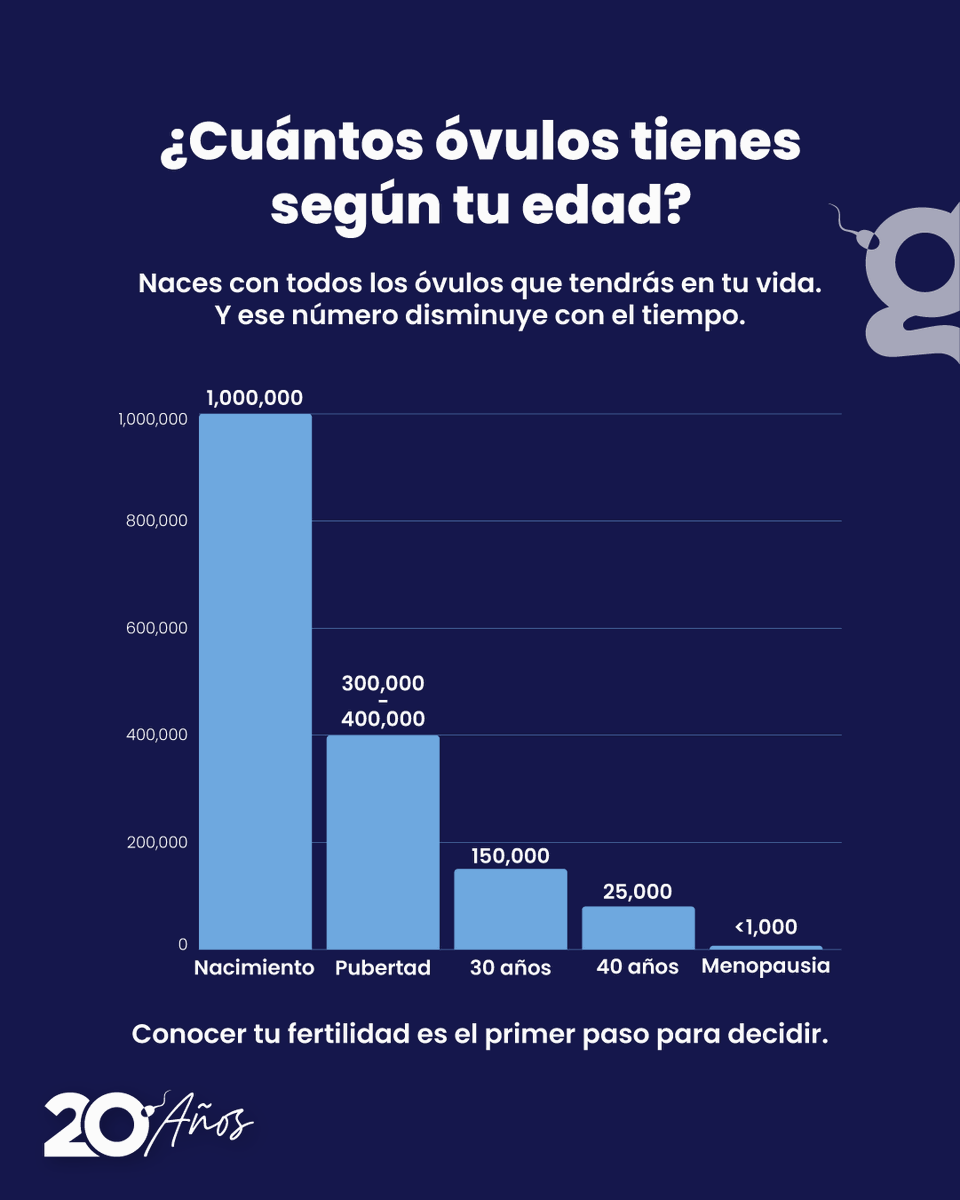 ingenes's tweet photo. Muchas personas escuchan sobre la cantidad de óvulos… pero igual de importante es la calidad. La edad no solo influye en cuántos óvulos tienes, también en cómo responden, cómo se comportan y qué probabilidades hay de lograr un embrión sano. 🤍
#CalidadOvárica #SaludFemenina https://t.co/PjwkjHpKa8