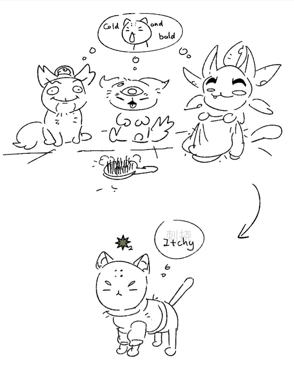 小家长 tweet media