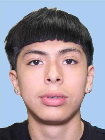 Houston Police tweet media