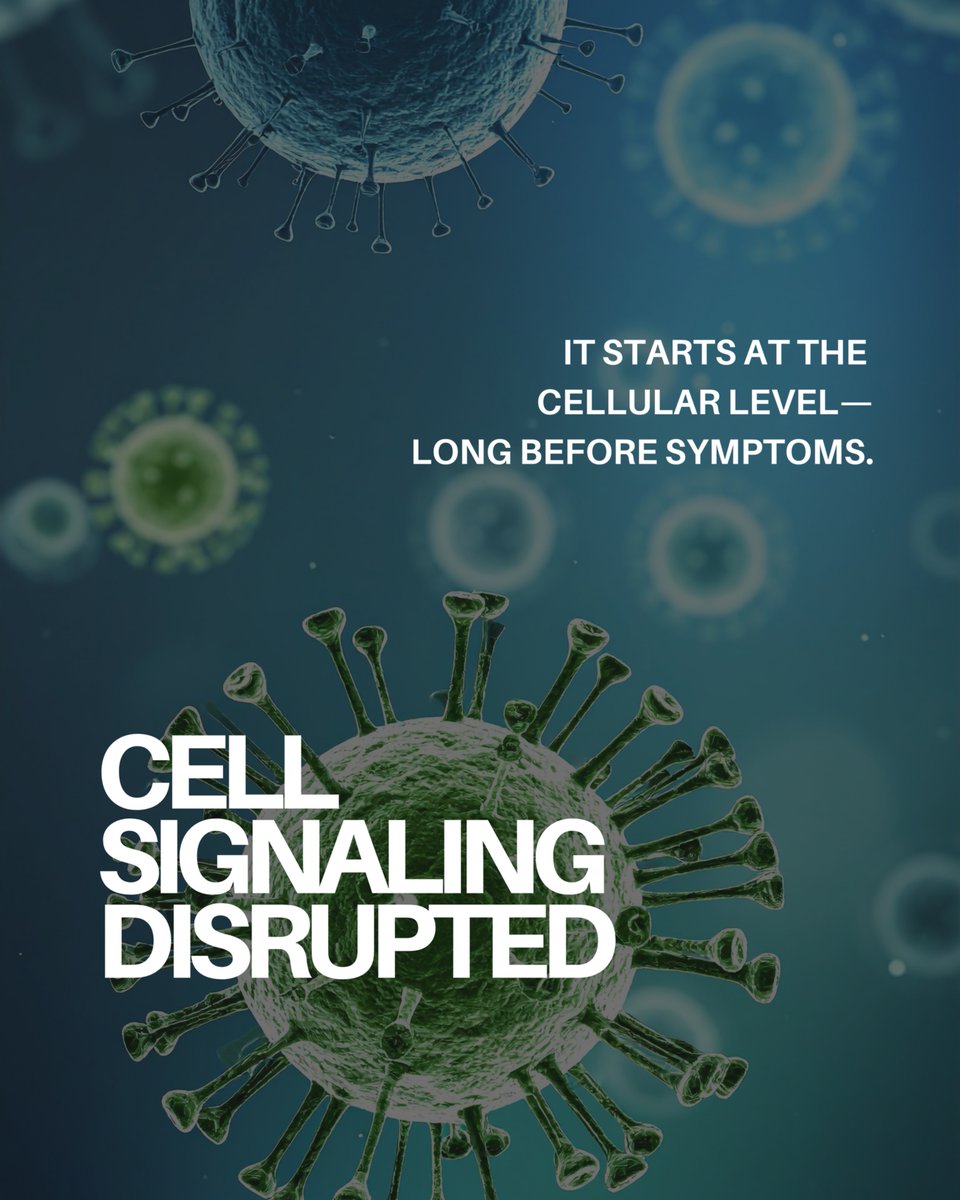 BeyondBio / John Catanzaro tweet media