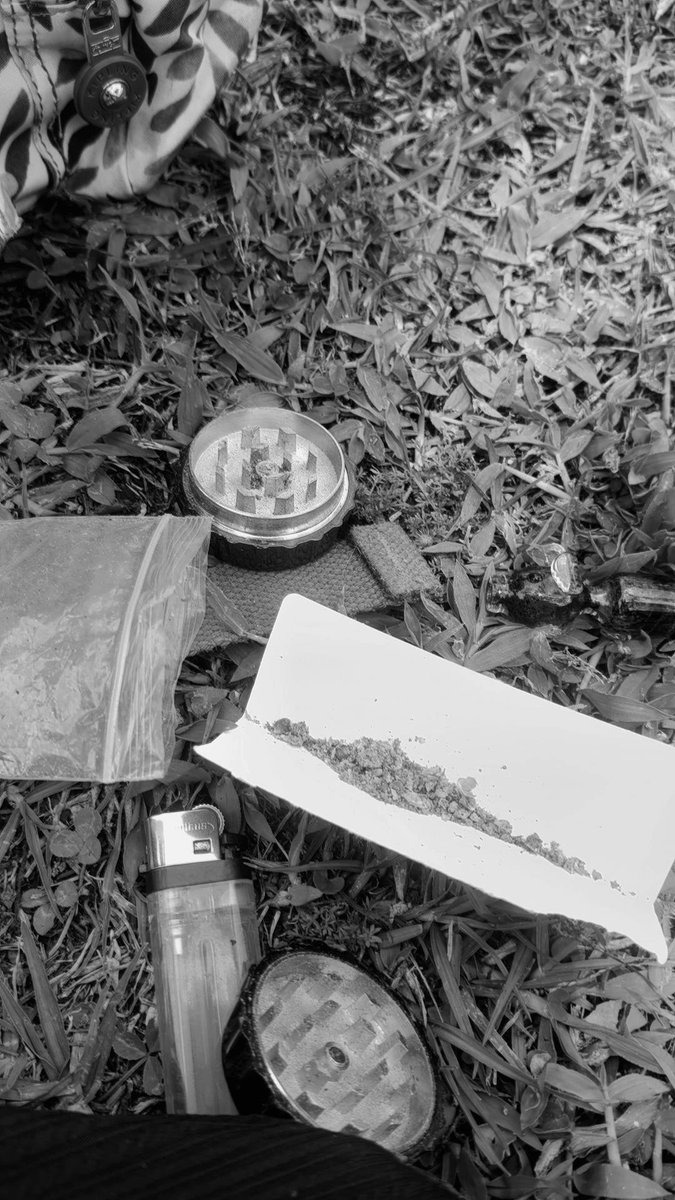 𝑩𝒂𝒃𝒚 𝑨𝒍𝒊𝒙 ♡︎ tweet media