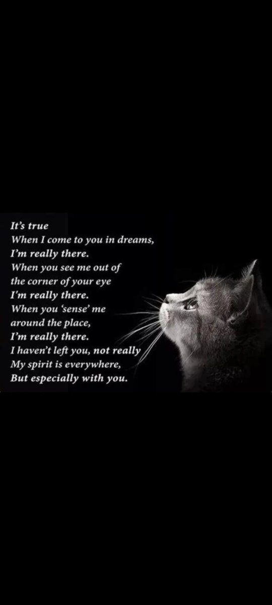 Caitlin ♡'s DPR IAN tweet media