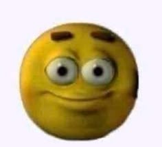 Oldga Okami 🥔🧩 tweet media