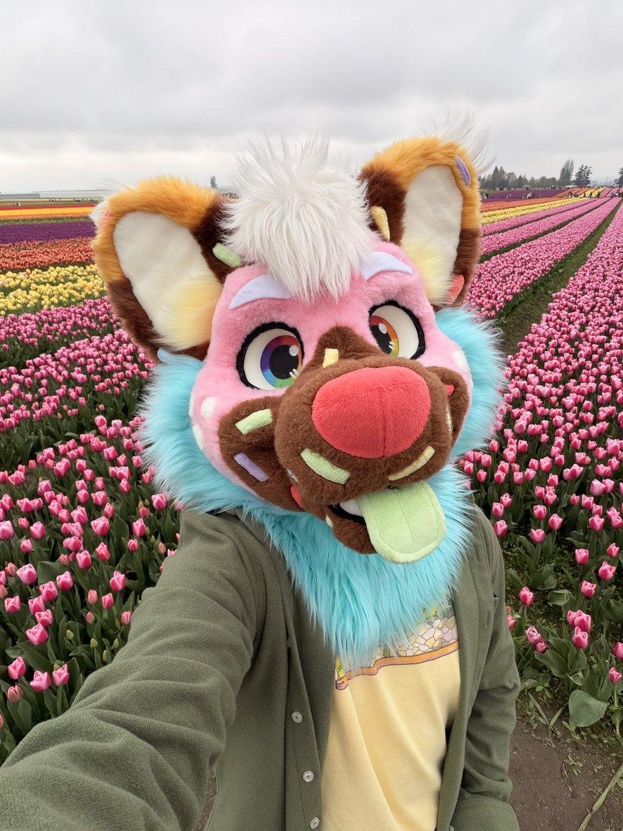 Duncan! 🧁🍩 🔜 FWA tweet media