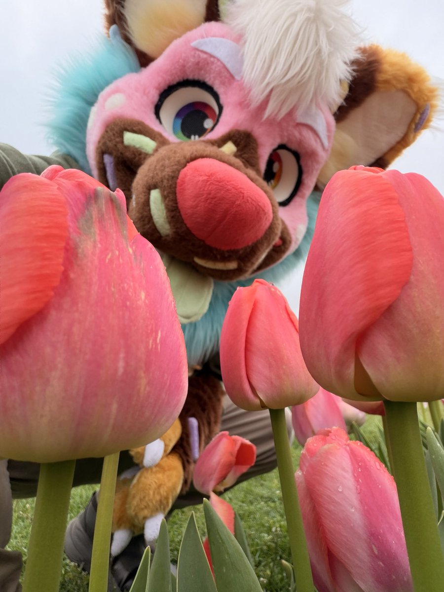 Duncan! 🧁🍩 🔜 FWA tweet media