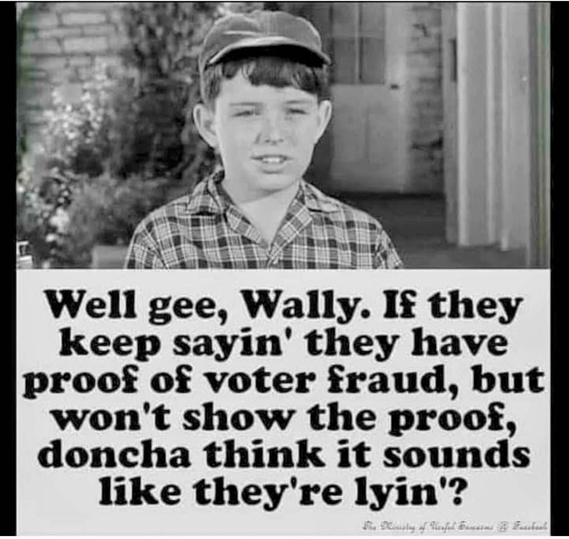 Celtic Woman tweet media