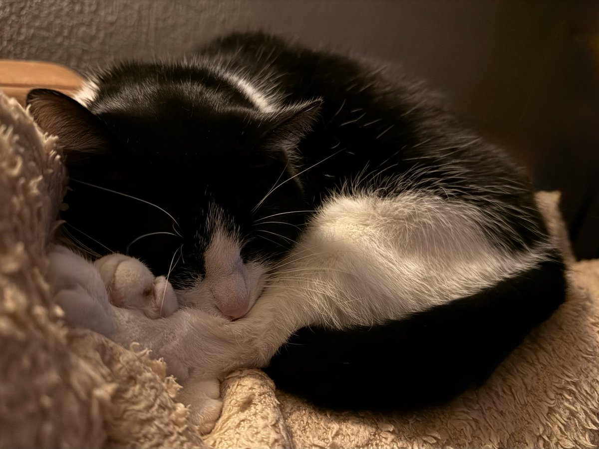 Bye, tot morgen ✨💫🌜🥰
#goodnight