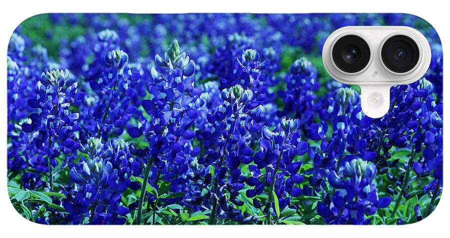 JudyVincent74's tweet photo. #HillCountry Blues #phone case Available for most #iPhone models in Slim or Tough style #Texas #bluebonnets #springtime #wildflowers #giftideas #BuyIntoArt #JudyVincentPhotography
Available here ---> https://t.co/an4jogMrWn https://t.co/udmfDjvr6s