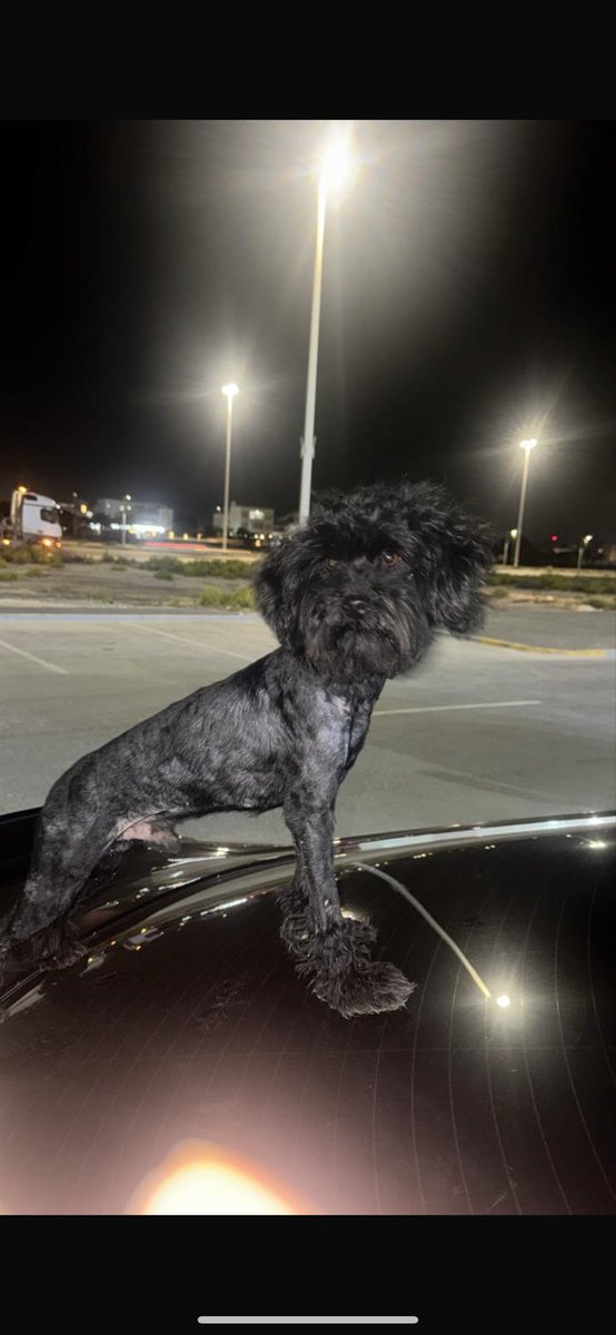 𝙎𝙖𝙞𝙣𝙩 tweet media