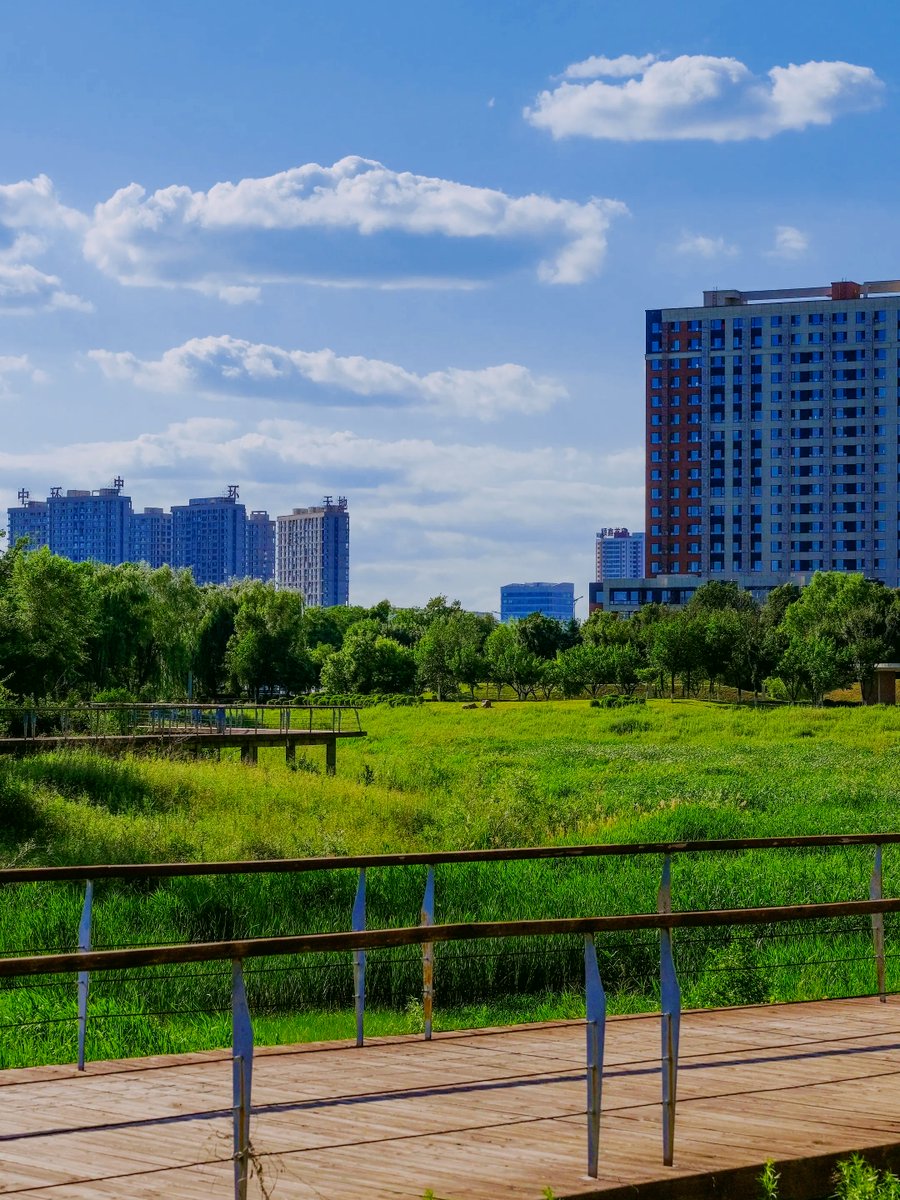 jyothish kiran tweet media