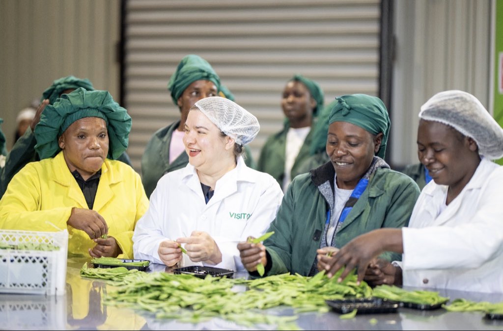 kumindafresh's tweet image. What better start to the season than grading Mange Tout and Sugar Snap Peas with the @euinzim ambassador HE @HagemannKatrin

The women in our packhouse are able to send their children to school thanks to Zimbabwe - EU Economic Partnership Agreement 

We export these smiles