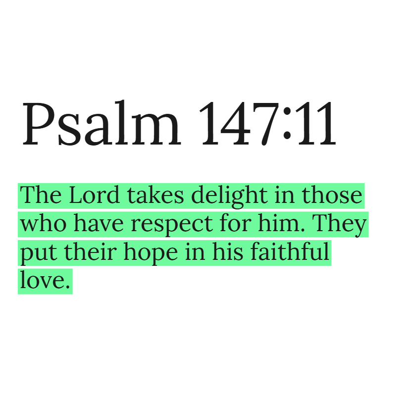 Holy Bible tweet media