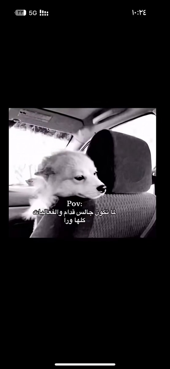 🧑🏼‍✈️. tweet media