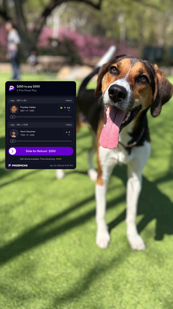 Ariel Epstein tweet media