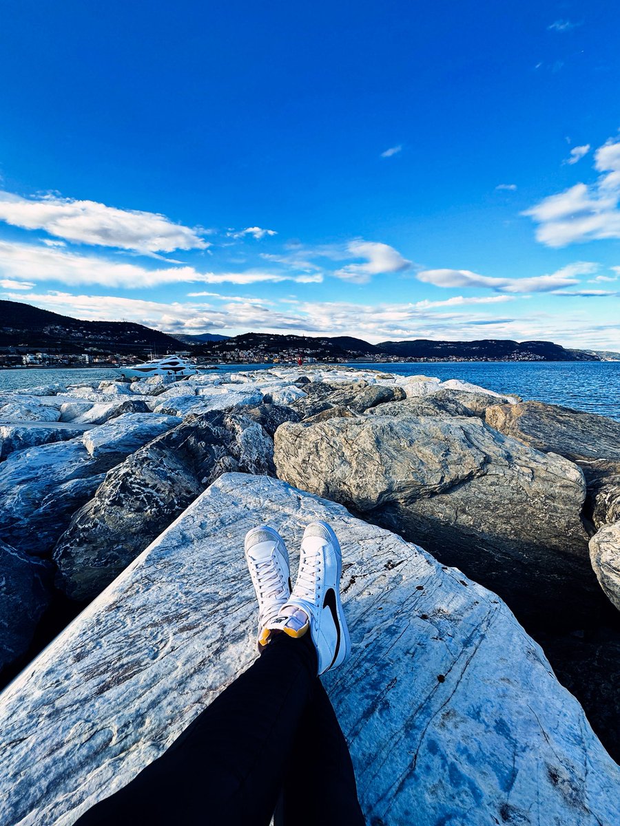 MetaMona tweet media