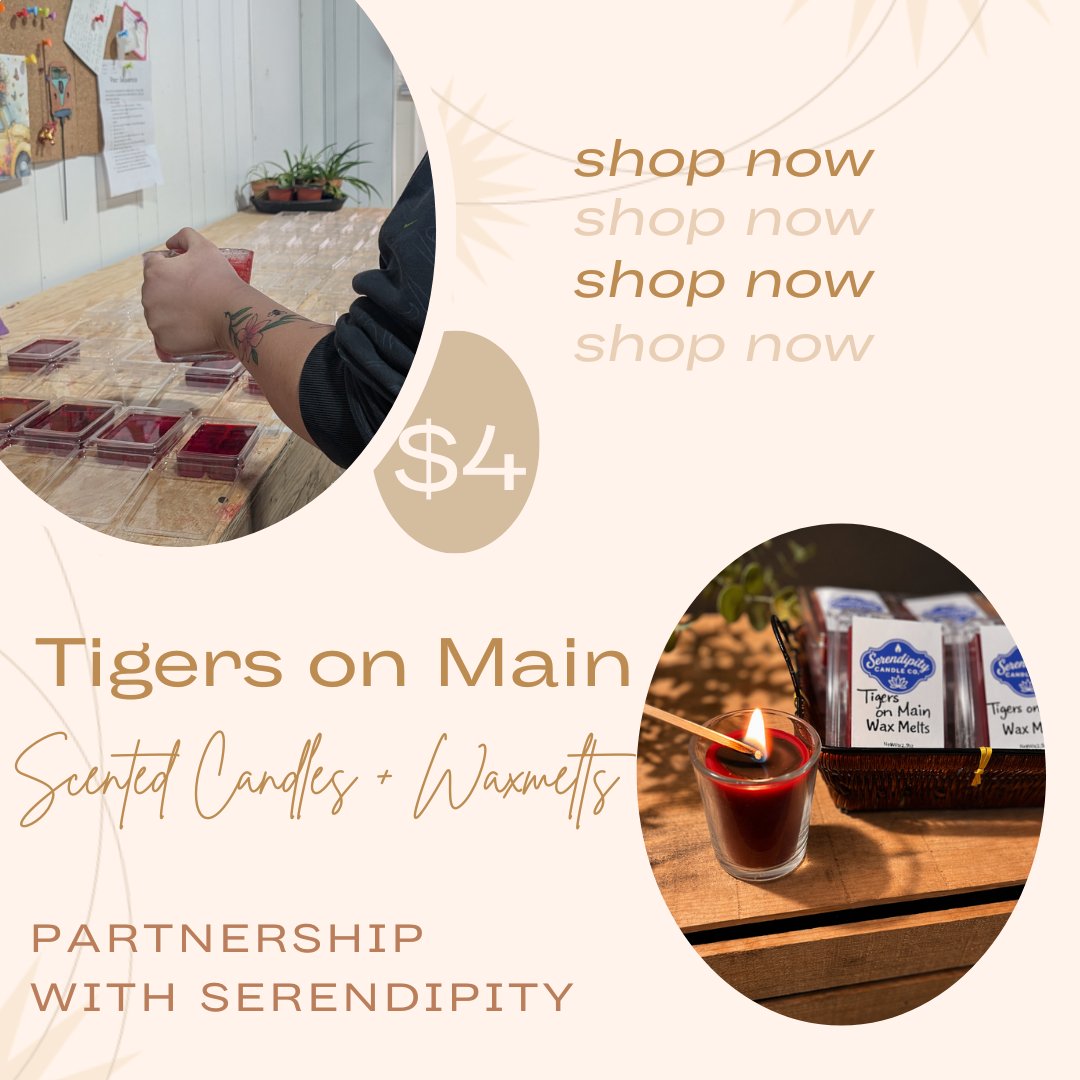 TigersonMainMO's tweet photo. ✨Behind the scenes at Tigers on Main✨
Sydney and Madison had the opportunity to learn all about the candle-making process from start to finish! With Beth's help, they created their own red and black candles to sell at Tigers on Main and Serendipity.🕯️

Check them out today! https://t.co/XTo1r7aZhv