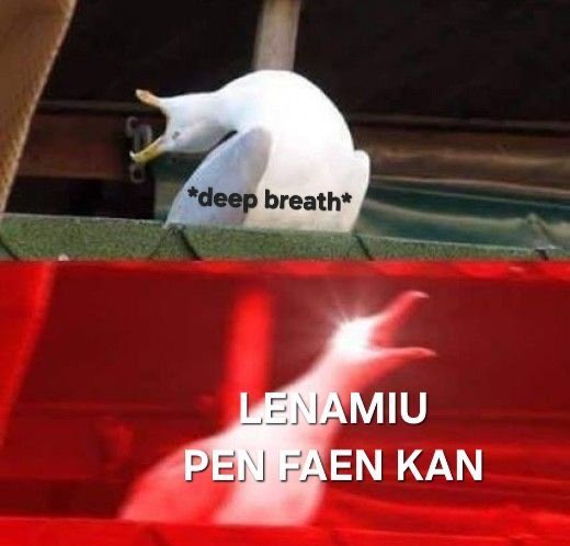 Boss Rae tweet media