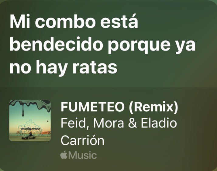 🐙Brunongo🦂 tweet media