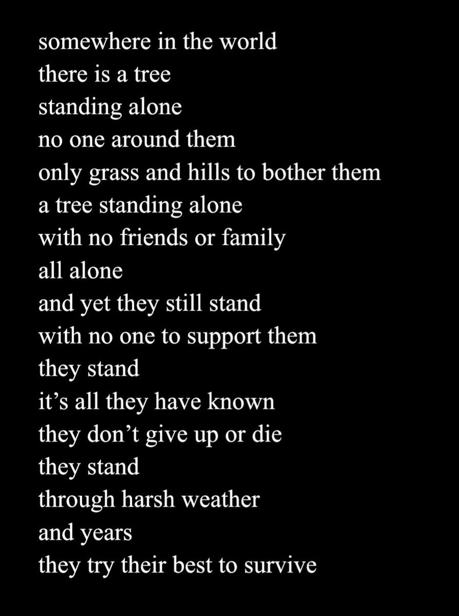 ❀ connie ❀ tweet media