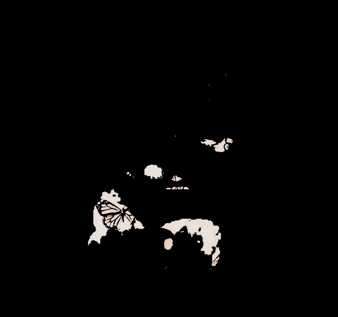 𝐝͟𝐚͟𝐧͟𝐧𝐲 ' 𝐰𝐢𝐥𝐥𝐢𝐚𝐦𝐬. tweet media